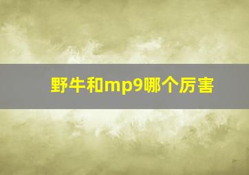 野牛和mp9哪个厉害