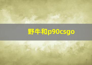 野牛和p90csgo