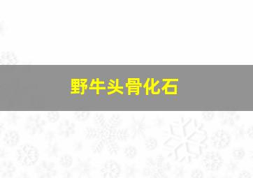 野牛头骨化石