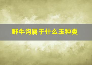 野牛沟属于什么玉种类