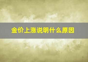 金价上涨说明什么原因