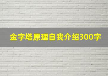 金字塔原理自我介绍300字