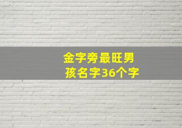 金字旁最旺男孩名字36个字