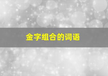 金字组合的词语