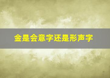 金是会意字还是形声字