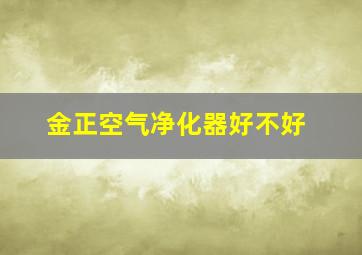 金正空气净化器好不好