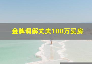 金牌调解丈夫100万买房