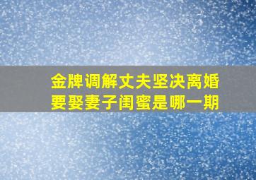 金牌调解丈夫坚决离婚要娶妻子闺蜜是哪一期