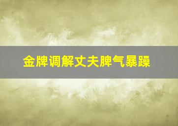 金牌调解丈夫脾气暴躁