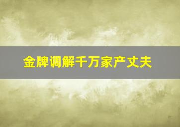 金牌调解千万家产丈夫