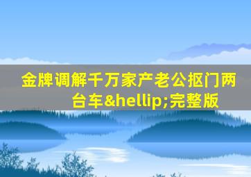 金牌调解千万家产老公抠门两台车…完整版