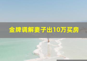 金牌调解妻子出10万买房