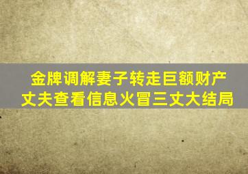 金牌调解妻子转走巨额财产丈夫查看信息火冒三丈大结局