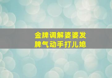 金牌调解婆婆发脾气动手打儿媳