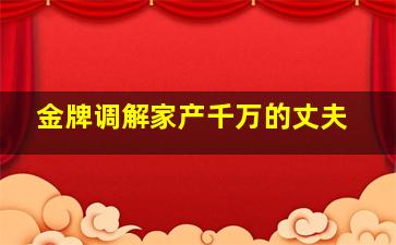 金牌调解家产千万的丈夫