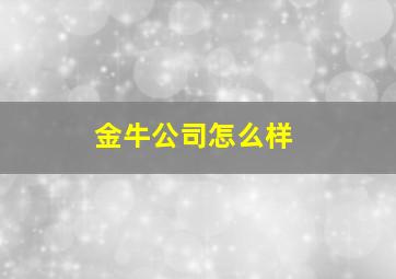 金牛公司怎么样