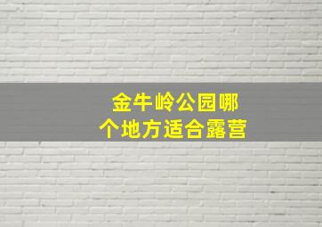 金牛岭公园哪个地方适合露营