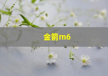 金箭m6