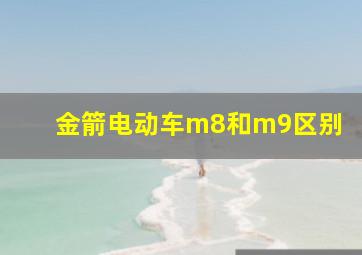 金箭电动车m8和m9区别