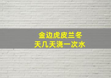 金边虎皮兰冬天几天浇一次水