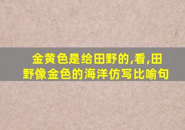 金黄色是给田野的,看,田野像金色的海洋仿写比喻句