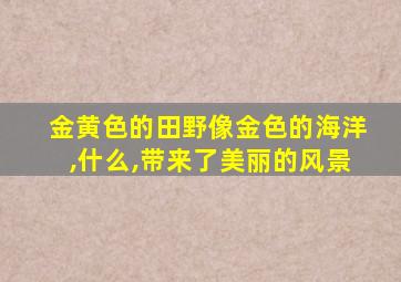 金黄色的田野像金色的海洋,什么,带来了美丽的风景