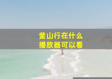 釜山行在什么播放器可以看