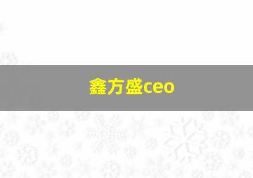 鑫方盛ceo