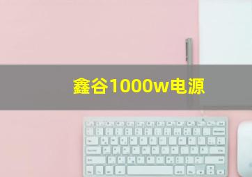 鑫谷1000w电源