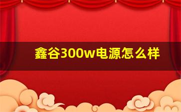 鑫谷300w电源怎么样