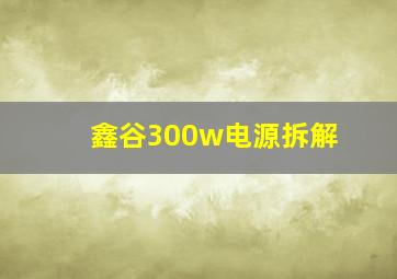 鑫谷300w电源拆解