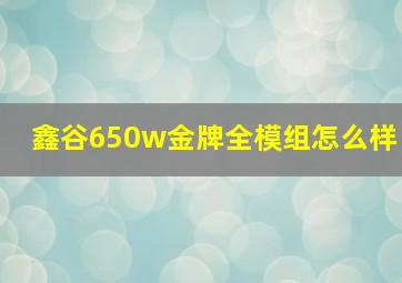 鑫谷650w金牌全模组怎么样