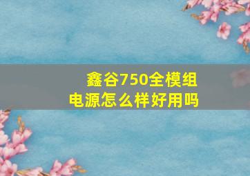 鑫谷750全模组电源怎么样好用吗