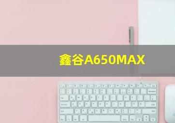 鑫谷A650MAX