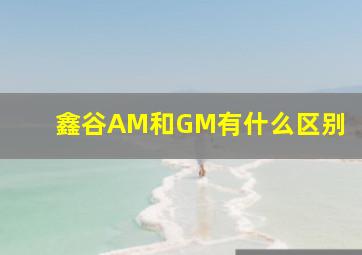 鑫谷AM和GM有什么区别