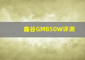 鑫谷GM850W评测