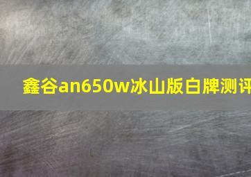 鑫谷an650w冰山版白牌测评