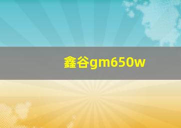 鑫谷gm650w