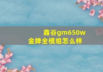 鑫谷gm650w金牌全模组怎么样