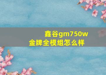 鑫谷gm750w金牌全模组怎么样