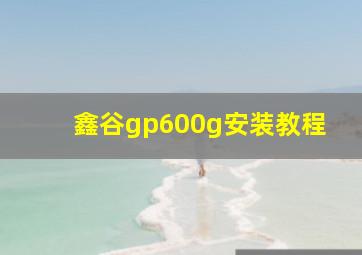 鑫谷gp600g安装教程