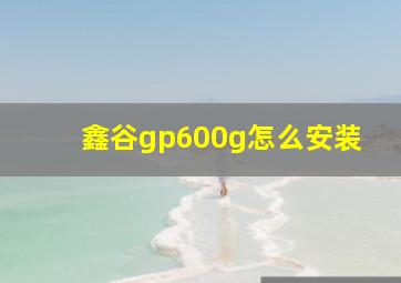 鑫谷gp600g怎么安装