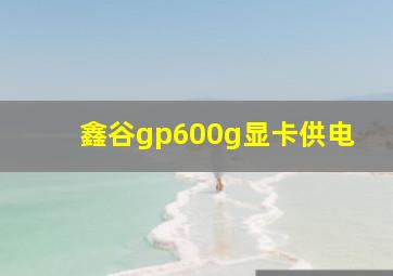 鑫谷gp600g显卡供电