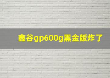 鑫谷gp600g黑金版炸了