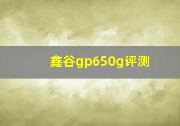 鑫谷gp650g评测