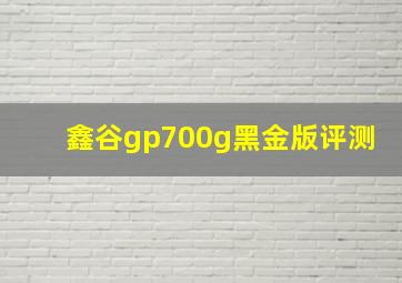 鑫谷gp700g黑金版评测