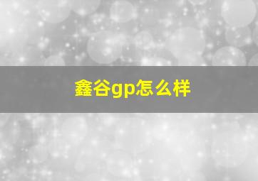 鑫谷gp怎么样