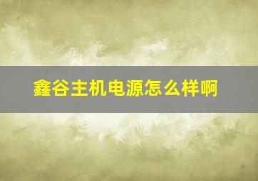 鑫谷主机电源怎么样啊