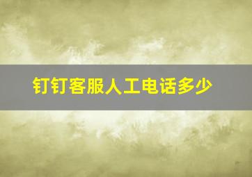 钉钉客服人工电话多少