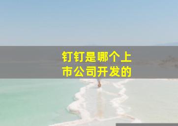 钉钉是哪个上市公司开发的